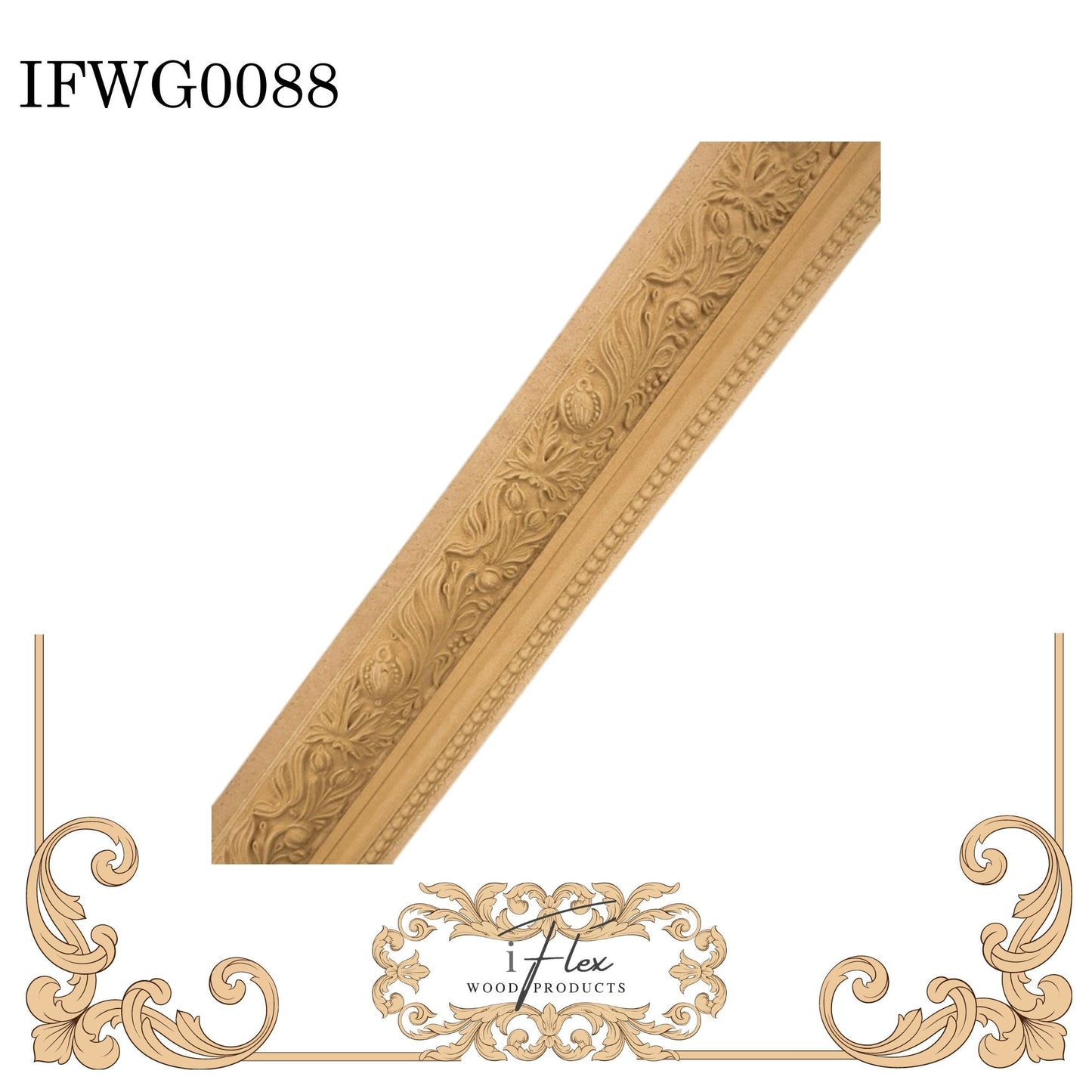 IFW G0088