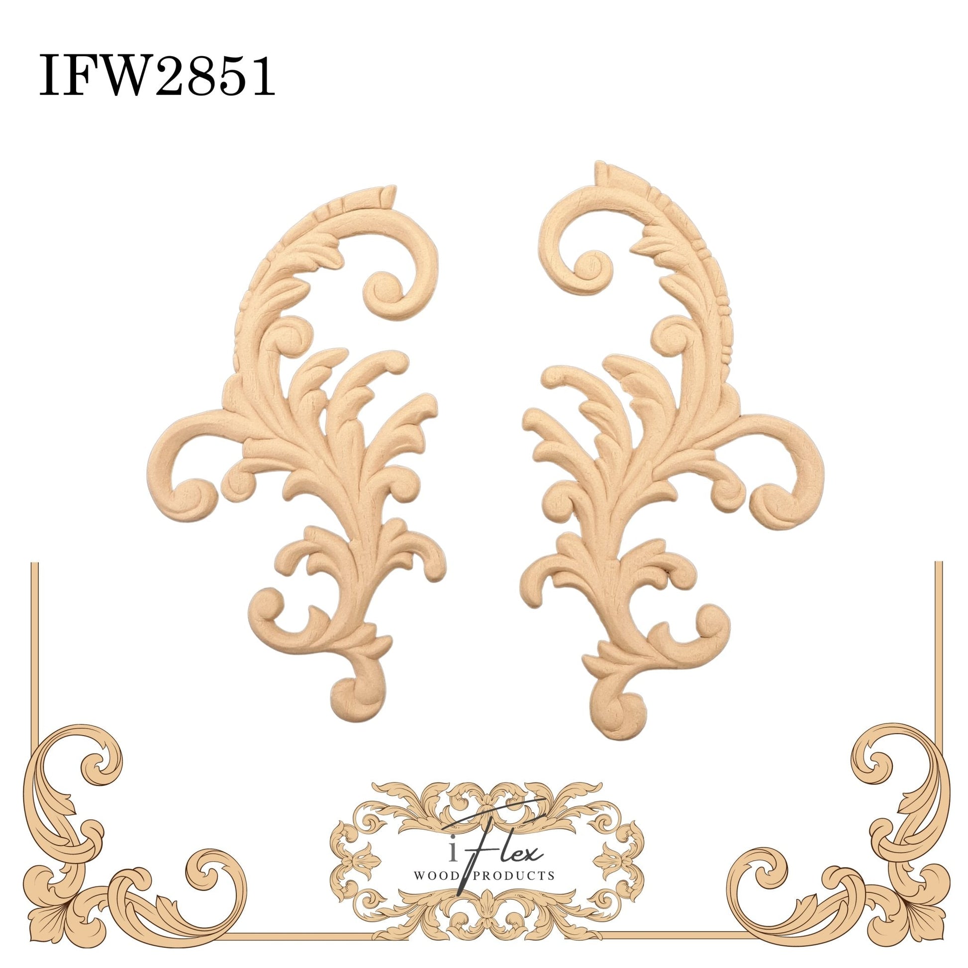 IFW 2851
